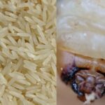 descubre-cuando-y-por-que-aparecen-gusanos-en-el-arroz